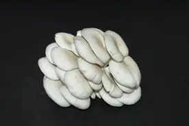 教你一个清洗蘑菇的妙招，洗得干净还能去木腥味，方法简单实用视频封面