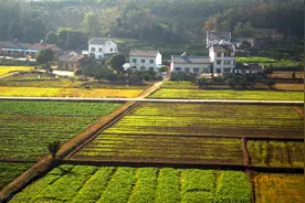 农村土地自愿永久退出，每亩补偿多少钱？有哪些条件？图片