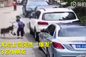 咬伤3名孩子，青岛老太拒绝送走咬人哈士奇：敢送走我就不活了图片