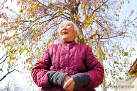 7旬老人家有“怪树”冬日挂满红豆，6万不卖，说是“保护伞”图片