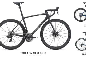 十大公路车品牌榜中榜，公路自行车品牌排行榜图片