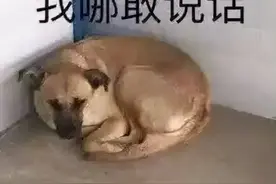 女武神1V7反杀“女拳”后爆火，反为故意误导大众而道歉忏悔图片