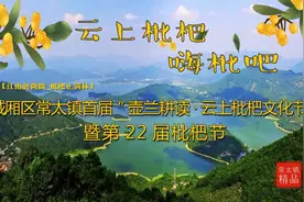 城厢区常太镇首届“壶兰耕读·云上枇杷文化节”暨第22届枇杷节来啦！快来“嗨枇”吧~图片