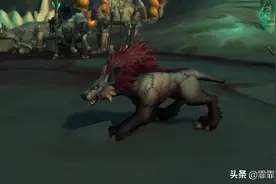 魔兽世界，9.0猎人宠物收集指南，9款最值得收藏的高颜值宠物图片