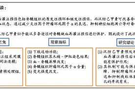汉防己甲素预处理对脊髓缺血再灌注损伤模型兔的神经保护图片