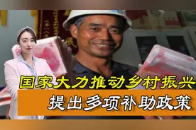乡村就业好机会，这5项补助帮助农村振兴，农民朋友高兴了图片