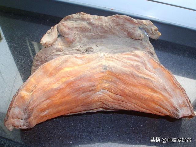 花胶寒性热性 花胶寒性还是热性