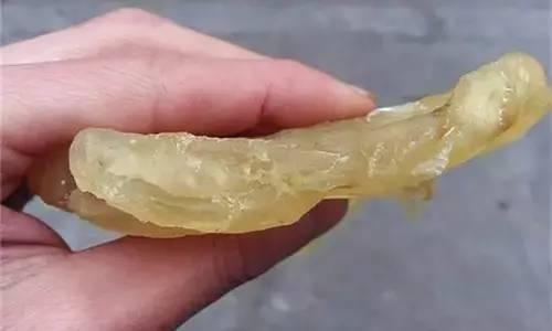 花胶煲汤后融了 花胶煲溶了