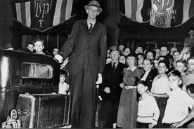 10条从未被打破的世界纪录图片