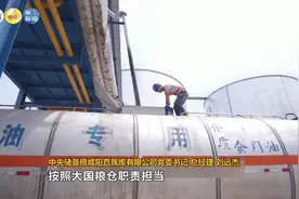 你见过中央储备粮仓库吗？原来粮食也住空调房图片