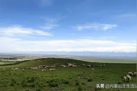 内蒙古欢迎您的到来图片