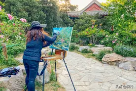 北京城区这四个公园，上万朵牡丹正盛开，门票最多不超10元图片