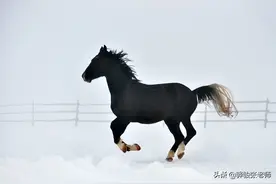 中考跑出来的5匹黑马，考进了重点高中，高考他们怎么样呢？图片