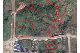 独家直击丨2021年重庆首次集中供地拍卖现场有这些看点图片