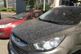 北京下“泥雨”，粉尘的危害到底多大，化工厂应该如何防粉尘？图片