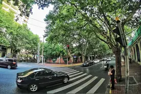 文青们，夏日里荡荡这10条上海超美的小马路图片
