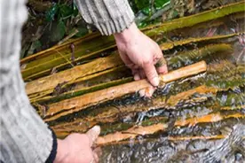 “塞溪浸楮舂夜月，敲冰举帘匀割脂”，探古代的造纸工艺及其发展图片