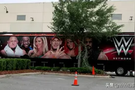 2020WWE选手胜场排名大狗罗曼仅排第七名第一位号称常胜将军图片