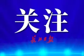 武汉外小、外初7月4日5日接受网上报名图片