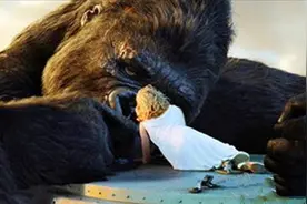 被囚禁的小猩猩，每天化妆打扮，被迫“待客”6年，现状如何？图片