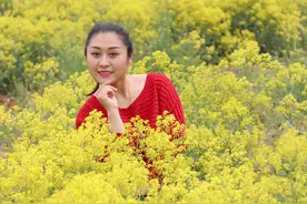 2020临沂最全赏花指南，赏花正当时，莫负好春光！图片