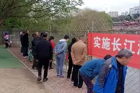 重庆一河道大量鱼群逆流而上，聚集在水坝下，市民：好多年没见了图片
