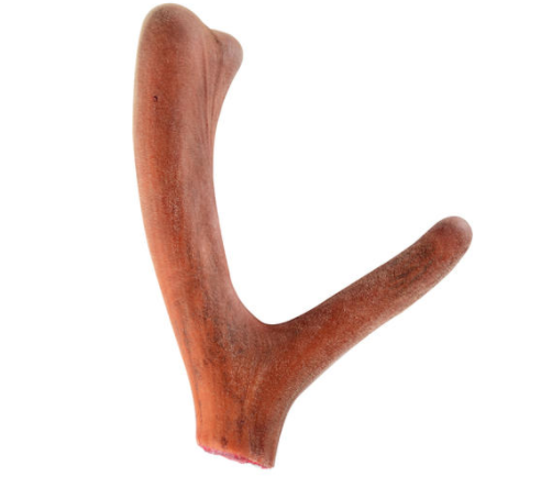 花胶和鹿茸可以 花胶和鹿茸可以同吃吗