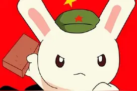 《那年那兔那些事儿》，种花家的我们都爱看，都爱在感动中看图片