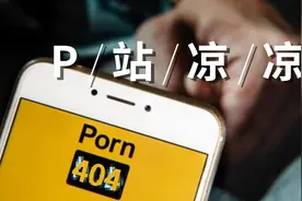 全球最大的黄色网站，快要凉了？图片