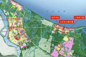 一连5发，海口江东新区挂牌约113亩土地，起始总价约8.38亿元图片