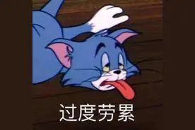 表达自己特别累的表情包图片