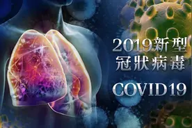 【入境澳门注意】曾到不同省市人士的最新防疫措施图片