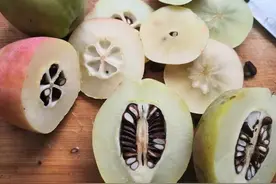 国内有哪些小众特色水果，只有当地人知道，外地人却听都没听过图片