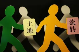 马云说“致富未来在农村”，那未来哪些人可以成为农村的致富人？图片