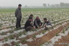 「人物」职业培训长本领新型农民奔小康图片