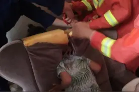 “熊孩子”贪玩头卡椅子 消防紧急破拆救援图片