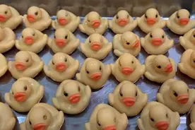 狗狗吞掉32只玩具小黄鸭 主人带其到宠物医院动手术才取出图片