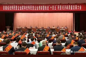 安徽省委、省政府重磅表彰！（附名单）图片