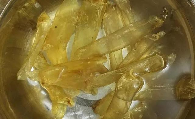 花胶炖筒骨 2026年花胶炖骨头的做法