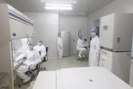 关于疾控预防和控制中心实验室布局图片