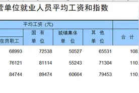 中国平均工资及增速：工作性质与行业的影响图片