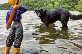 龙珠：手办入侵现实世界，比克徒手抓鱼，悟空将太阳当做元气弹图片