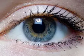 千奇百怪的动物眼睛，它们有各种各样的奇怪用途，和人眼相差甚远图片