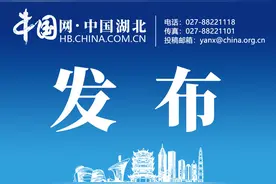 湖北省委组织部干部任前公示（2021年第136号）图片