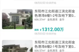 3年损失百亿身家！传奇女首富被债务压垮，名下4套别墅拍卖！曾是知名电视剧女主角原型图片