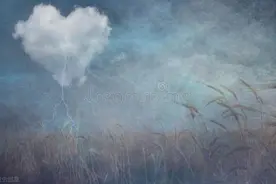 得知前男友离婚了，我决定把隐藏多年的秘密告诉他图片