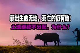 “增人不增地，减人不减地”，土地不再分配，为什么？图片
