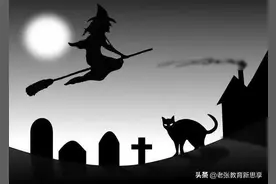 “九条命”的物理猫，故事总是那么神秘图片