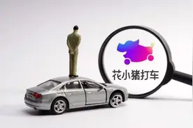 交通部再点名花小猪出行，人车是否合规可线上查询图片