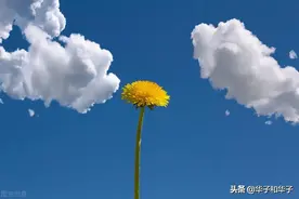 再婚12年，53岁许阿姨告诉你：夫妻AA制，现在过得如何？图片